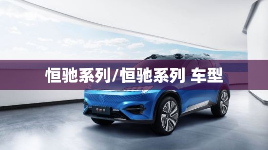 恒驰系列/恒驰系列 车型