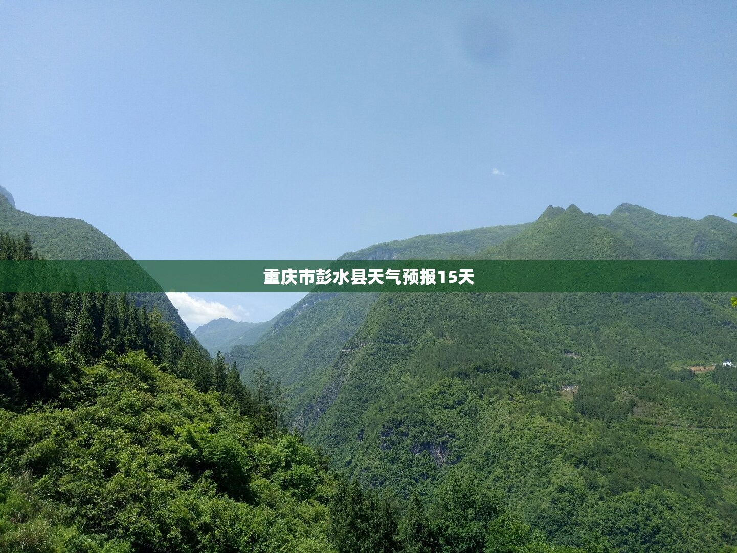 【重庆市彭水县天气预报15天,重庆市彭水县天气预报一周】
