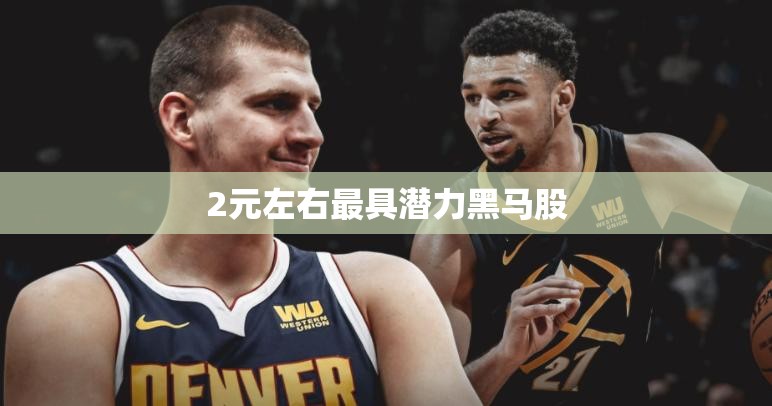 2元左右最具潜力黑马股(最有潜力的低价龙头股)