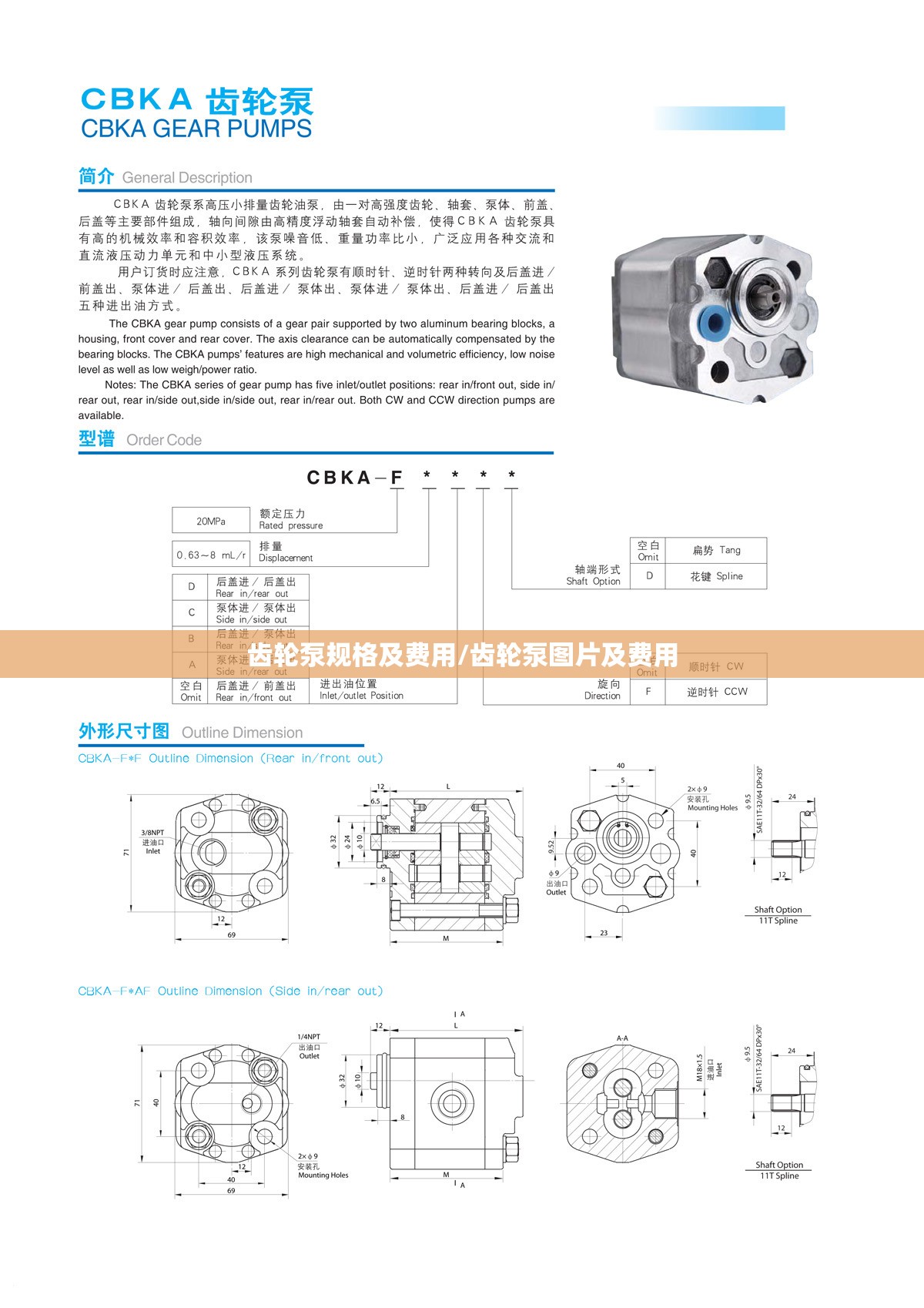 齿轮泵规格及费用/齿轮泵图片及费用