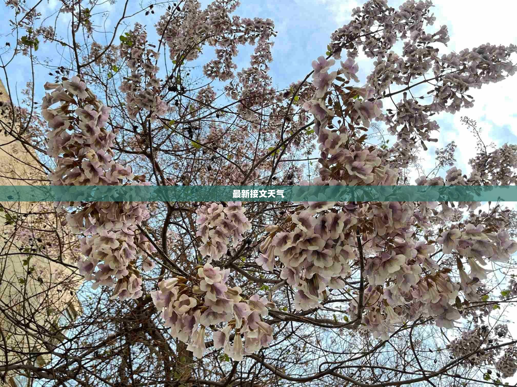 最新接文天气/最新天气盛泽镇 最新接文天气/最新天气盛泽镇