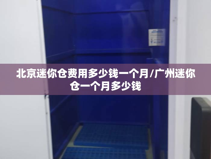 北京迷你仓费用多少钱一个月/广州迷你仓一个月多少钱