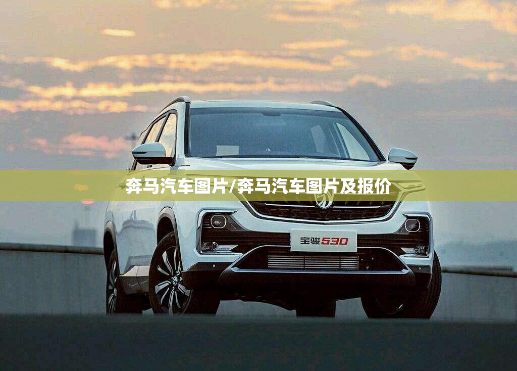 奔马汽车图片/奔马汽车图片及报价