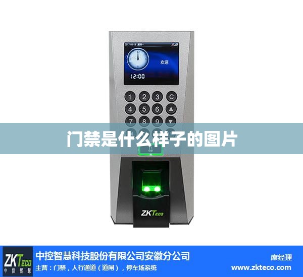 门禁是什么样子的图片/门禁的门图片