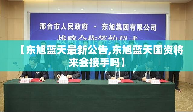 【东旭蓝天最新公告,东旭蓝天国资将来会接手吗】