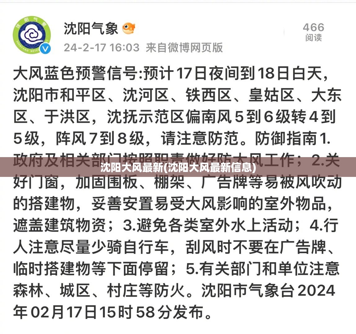 沈阳大风最新(沈阳大风最新信息)