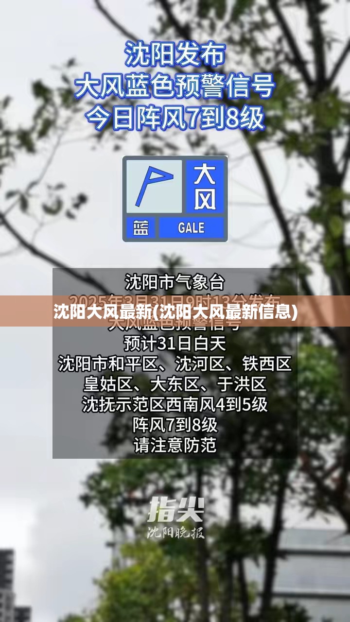 沈阳大风最新(沈阳大风最新信息)
