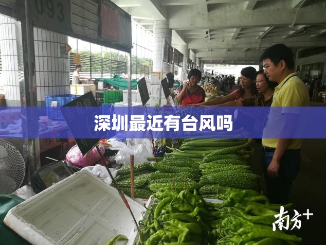 【深圳最近有台风吗,2025深圳台风最新消息】