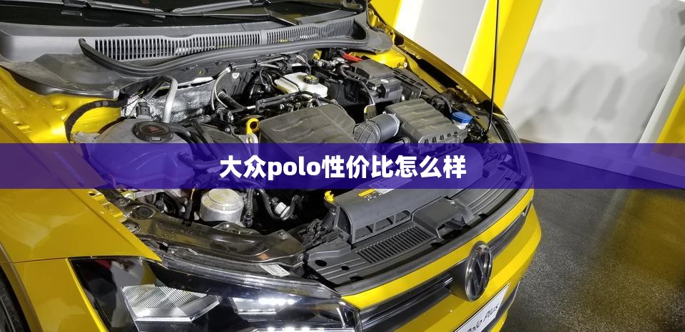大众polo性价比怎么样/大众polo车质量如何