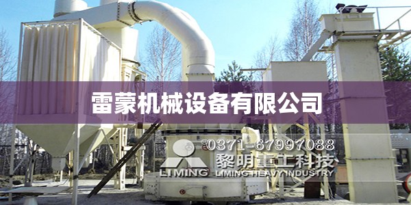 雷蒙机械设备有限公司/雷蒙科技有限公司 雷蒙机械设备有限公司/雷蒙科技有限公司