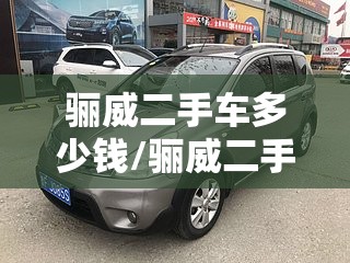 骊威二手车多少钱/骊威二手车费用表