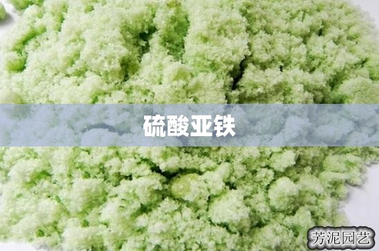 【山东莱阳市天气预报一周,山东莱阳天气预报7天查询】 【山东莱阳市天气预报一周,山东莱阳天气预报7天查询】