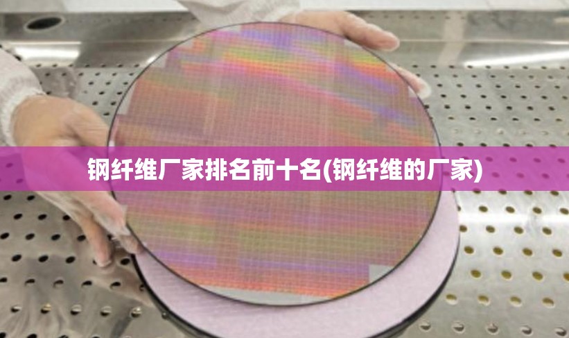 钢纤维厂家排名前十名(钢纤维的厂家)