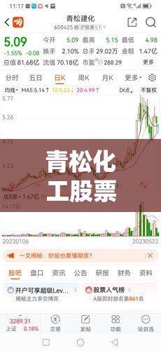 青松化工股票/青松化工股票行情