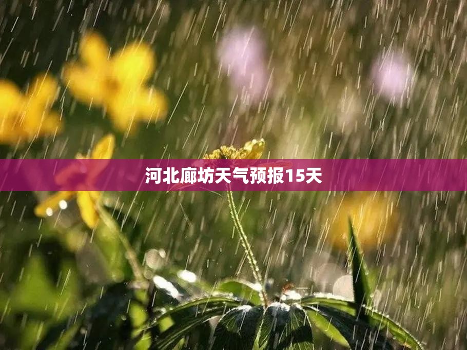 河北廊坊天气预报15天(河北廊坊天气预报15天查询)