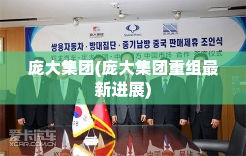 庞大集团(庞大集团重组最新进展)