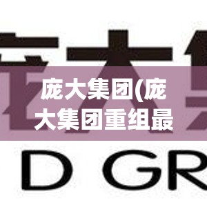 庞大集团(庞大集团重组最新进展)