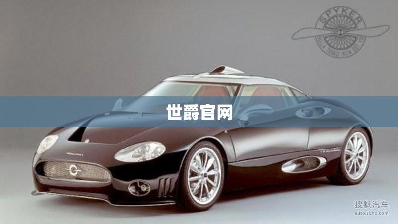 世爵官方网站/世爵官方