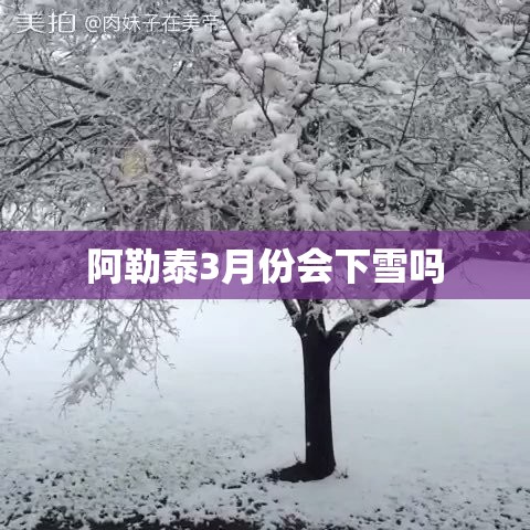 阿勒泰3月份会下雪吗/阿勒泰下雪时间是几月份 阿勒泰3月份会下雪吗/阿勒泰下雪时间是几月份