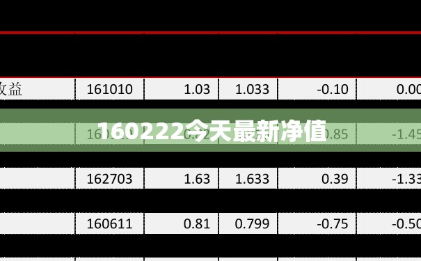 【160222今天最新净值,160222今天净值和估值对比】