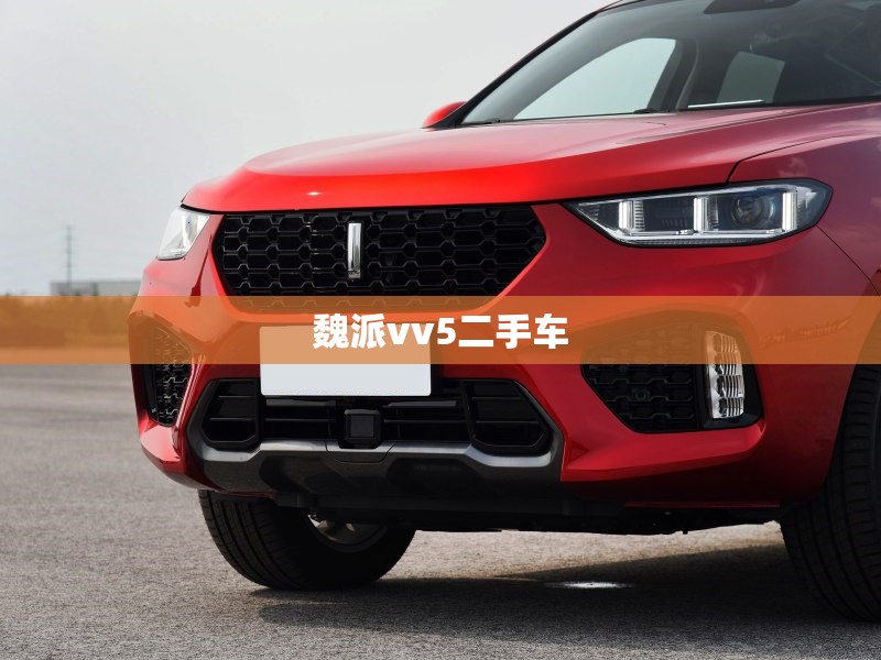 魏派vv5二手车(魏派vv5二手车敢入手吗) 魏派vv5二手车(魏派vv5二手车敢入手吗)