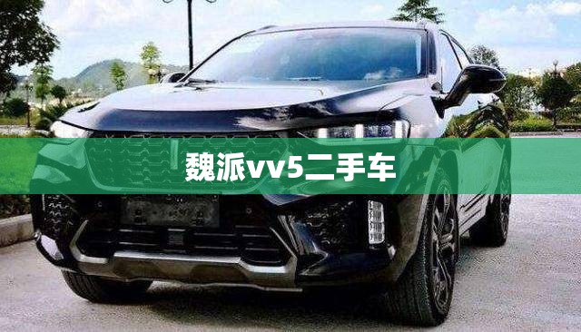 魏派vv5二手车(魏派vv5二手车敢入手吗) 魏派vv5二手车(魏派vv5二手车敢入手吗)