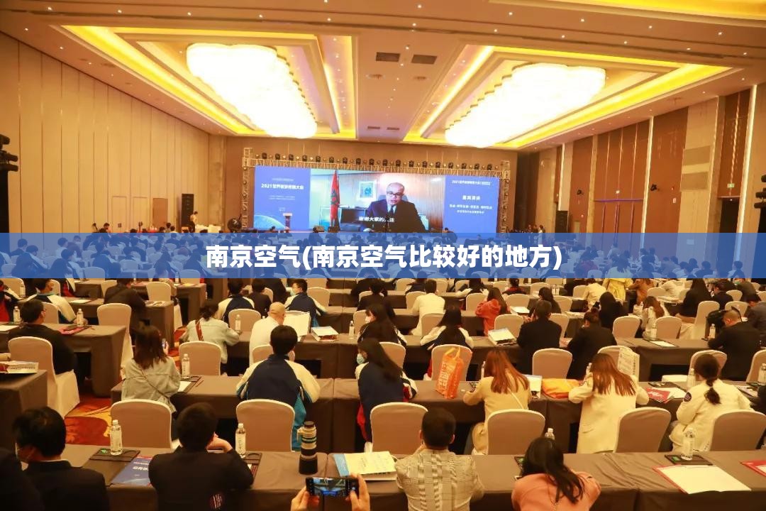 南京空气(南京空气比较好的地方)