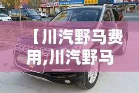 【川汽野马费用,川汽野马2017款费用】