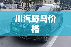【川汽野马费用,川汽野马2017款费用】
