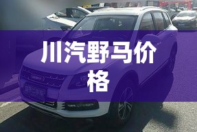 【川汽野马费用,川汽野马2017款费用】