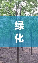 绿化树木名称及图片及费用(绿化树木名称及费用表)