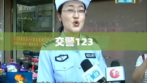 【交警123,交警123查违章】 【交警123,交警123查违章】