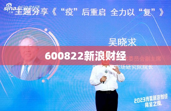 600822新浪财经(600221新浪财经行情)