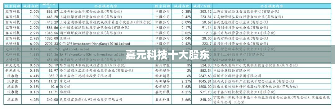 【嘉元科技前十股东,嘉元科技前十高管】