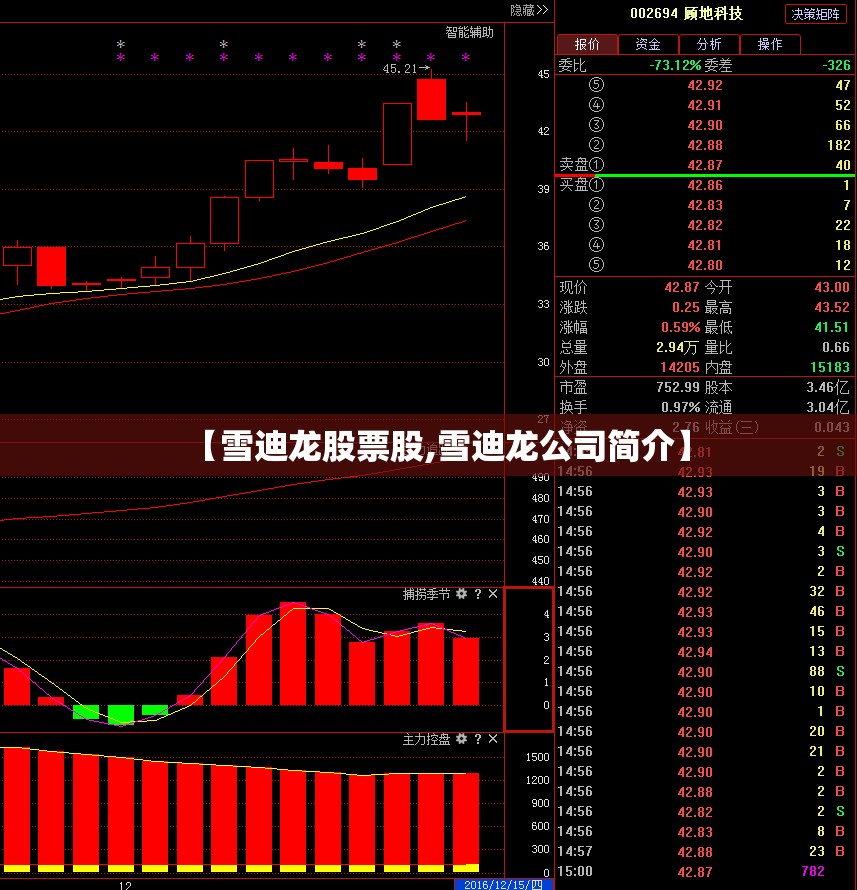 【雪迪龙股票股,雪迪龙公司简介】 【雪迪龙股票股,雪迪龙公司简介】