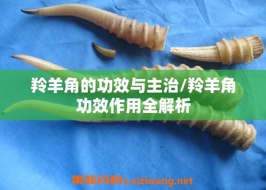羚羊角的功效与主治/羚羊角功效作用全解析