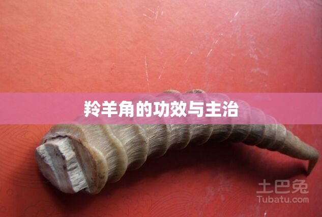 羚羊角的功效与主治/羚羊角功效作用全解析 羚羊角的功效与主治/羚羊角功效作用全解析