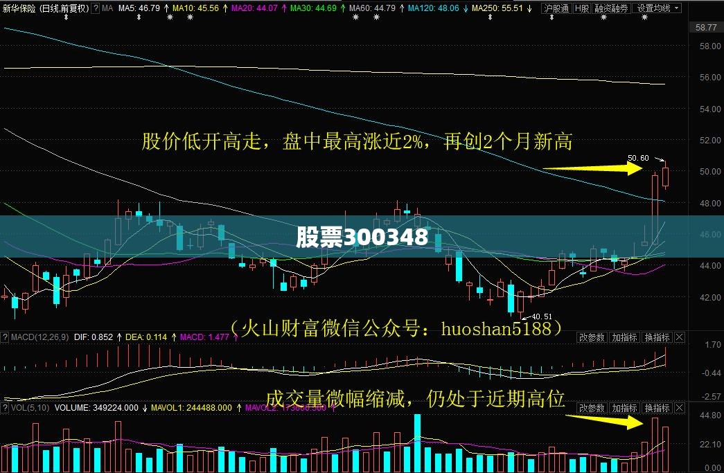 【股票300348,股票300348多少钱】