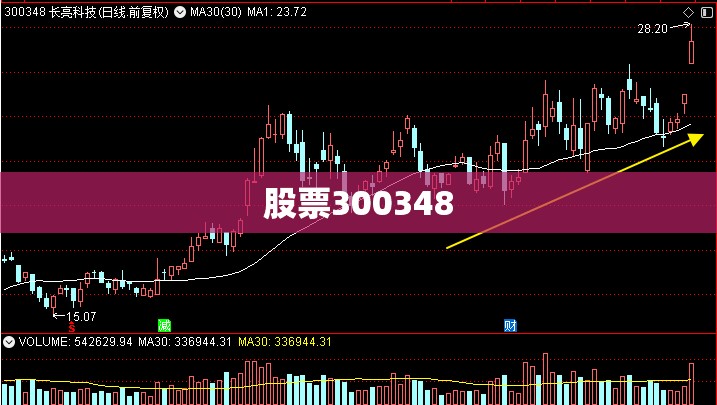 【股票300348,股票300348多少钱】