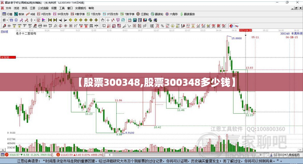 【股票300348,股票300348多少钱】