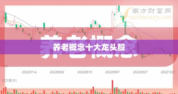 【养老概念前十龙头股,2025养老金前十重仓股】