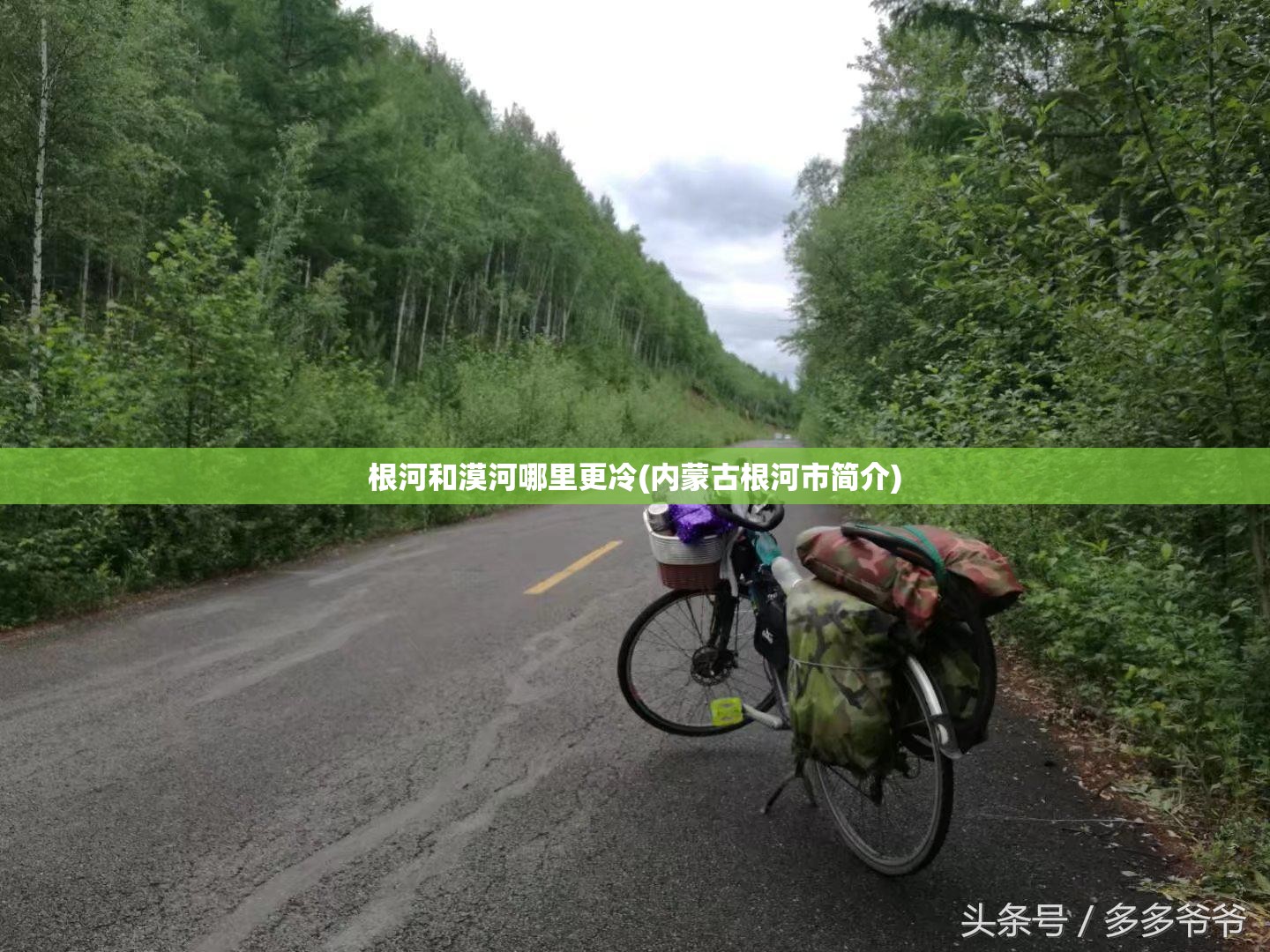 根河和漠河哪里更冷(内蒙古根河市简介)