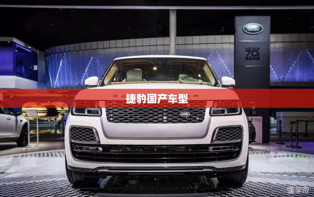 捷豹国产车型/捷豹车型大全及报价 捷豹国产车型/捷豹车型大全及报价
