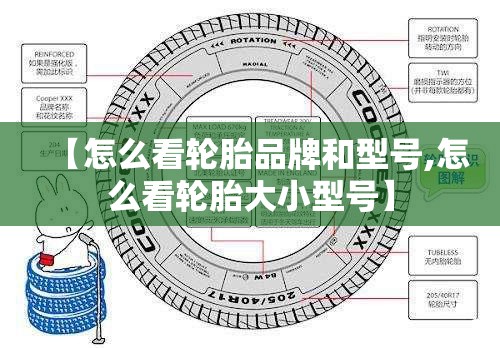 【怎么看轮胎品牌和型号,怎么看轮胎大小型号】