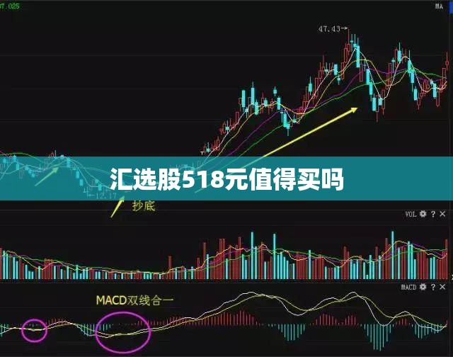 【汇选股518元值得买吗,汇选股app下载】