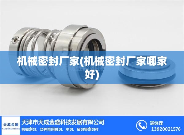 机械密封厂家(机械密封厂家哪家好)
