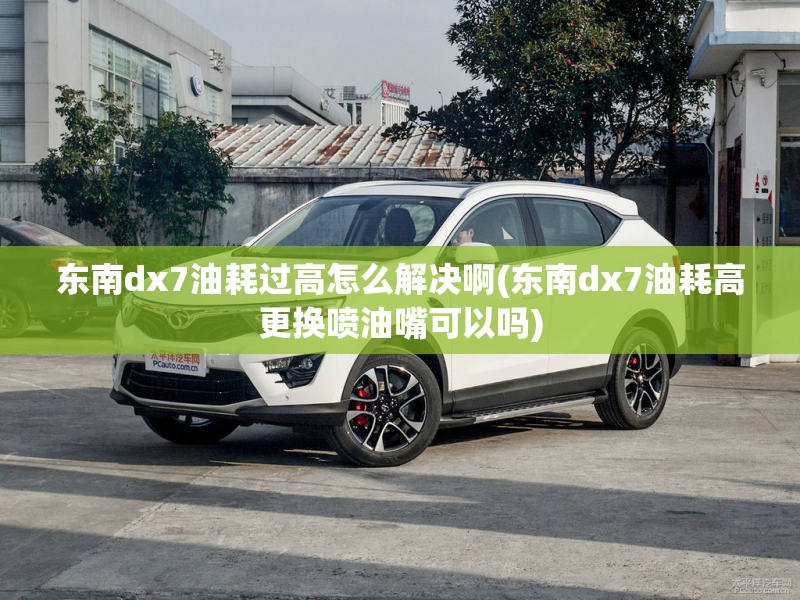 东南dx7油耗过高怎么解决啊(东南dx7油耗高更换喷油嘴可以吗)
