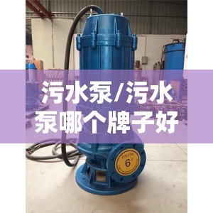 污水泵/污水泵哪个牌子好