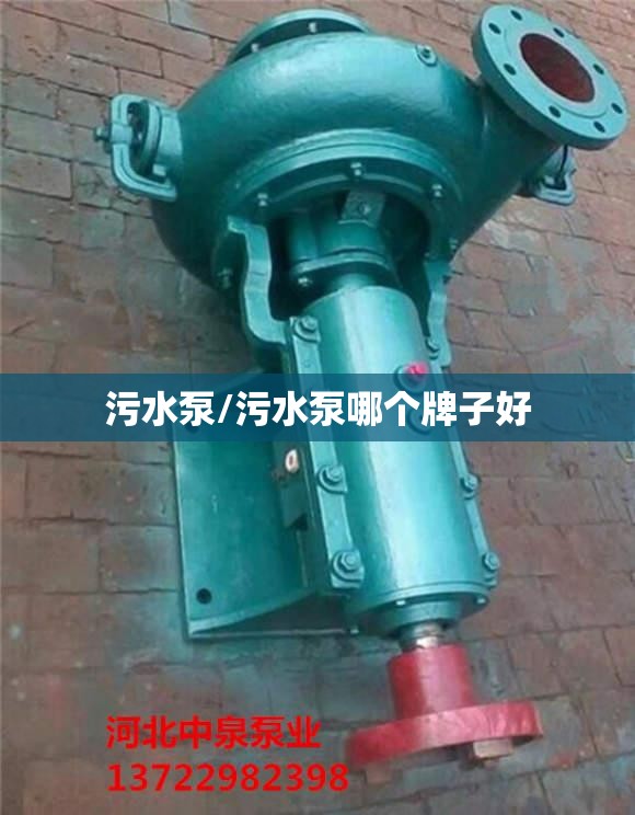 污水泵/污水泵哪个牌子好