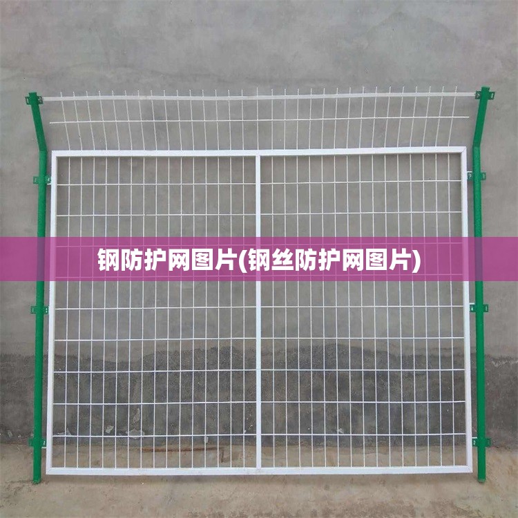 钢防护网图片(钢丝防护网图片)